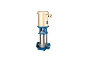 Vertical Multistage Pump (VMS)